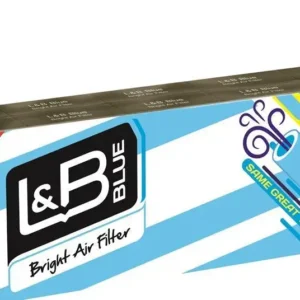 L&B Blue Bright Air Filter